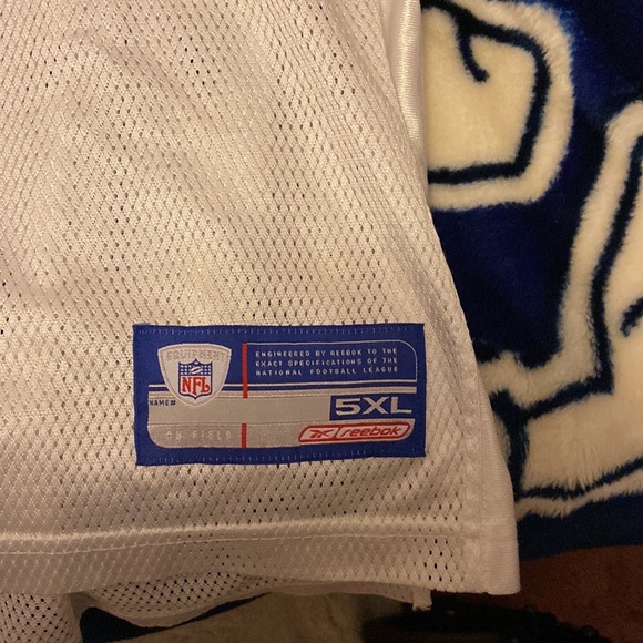 Jerome Bettis NFL jersey - Picture 3 of 4